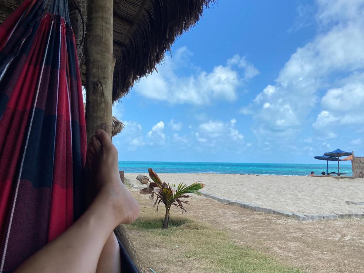 Secret Spot Kite Club *